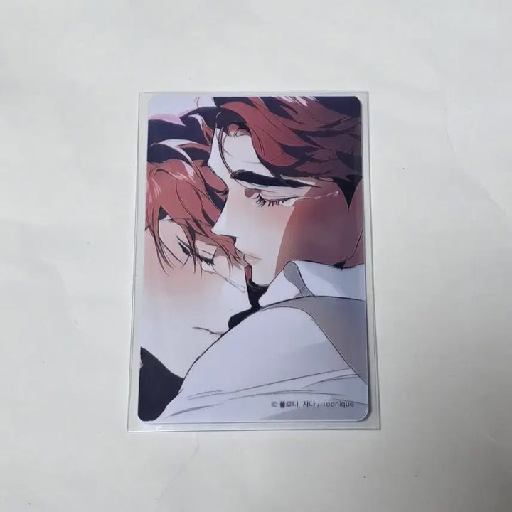 [BUNJANG] Toonique DTR Hey Photocard / 투니크 디티알 DTR 헤이포카 포토카드 1개