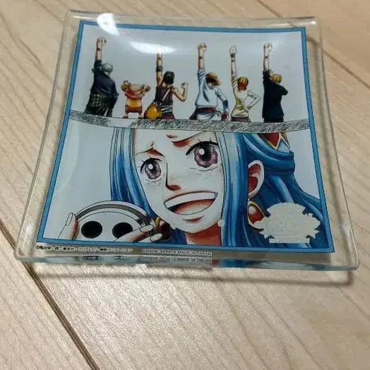 [BUNJANG] One Piece Vivi "Nakama no Shirushi" Glass Plate / 고전)원피스 비비 동료의증표  유리 플레이트 접시