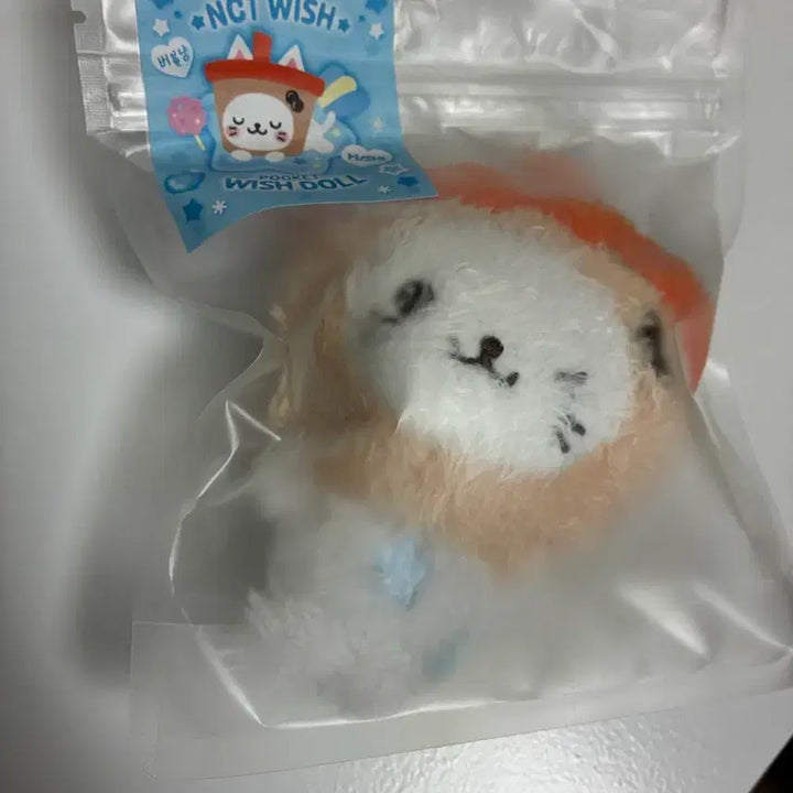 [BUNJANG] Pocket Wish Doll Bubble Cat Yuushi / 포켓위시돌 버블냥 유우시