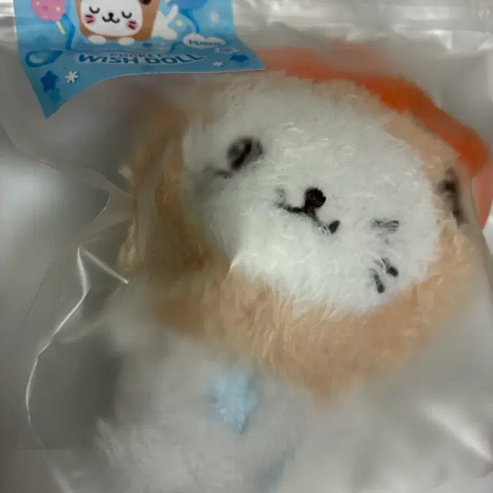 [BUNJANG] Pocket Wish Doll Bubble Cat Yuushi / 포켓위시돌 버블냥 유우시