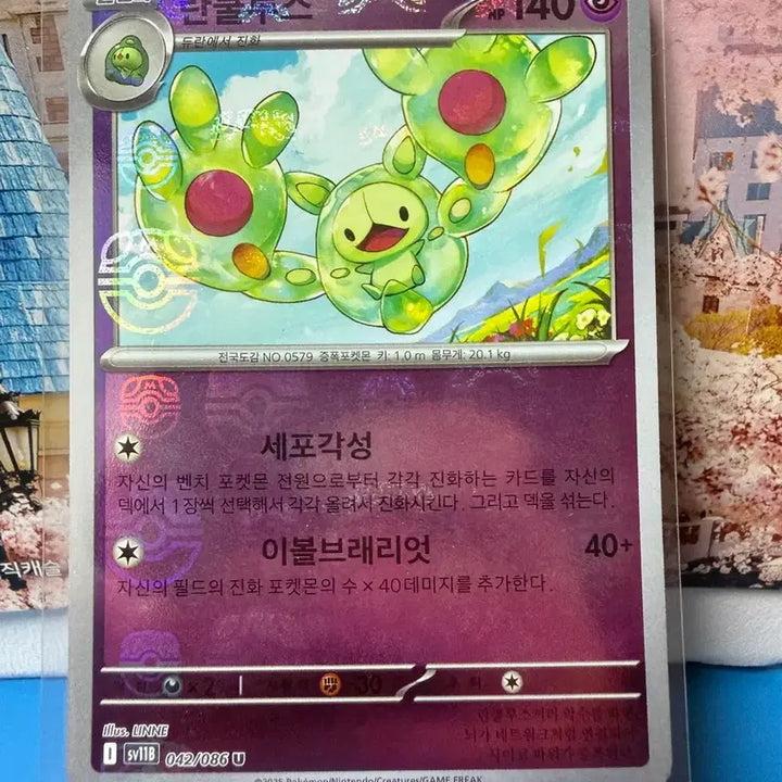 [BUNJANG] Pokemon Cardinetics Master Ball A-Grade / 포켓몬카드 란쿨루스 마스터볼 A-급