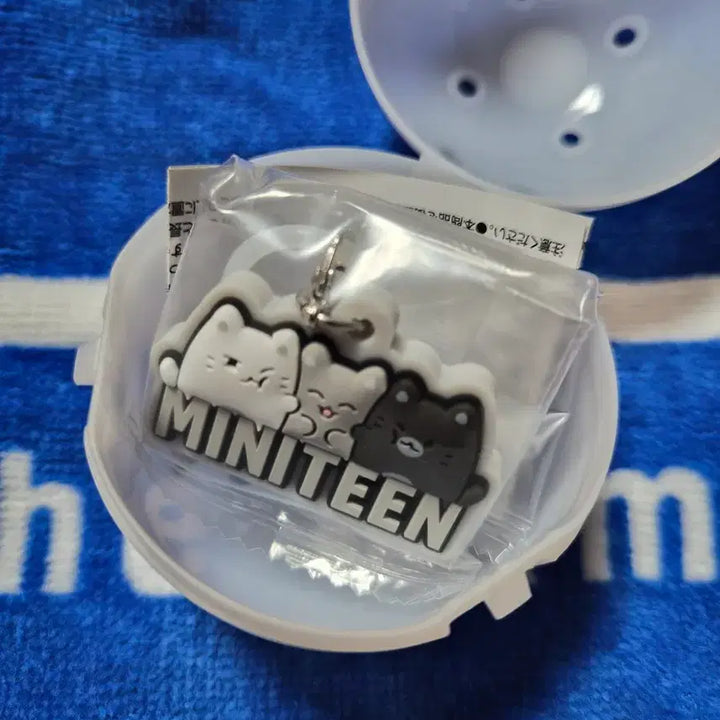 [BUNJANG] SEVENTEEN Mini Teen Meziluci Keyring / 세븐틴 미니틴 메지루시 열닫잠