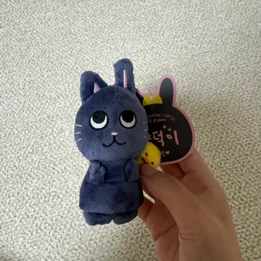 [BUNJANG] Toy Cat Fan Club 1st Generation Item / 토냥덕 1기