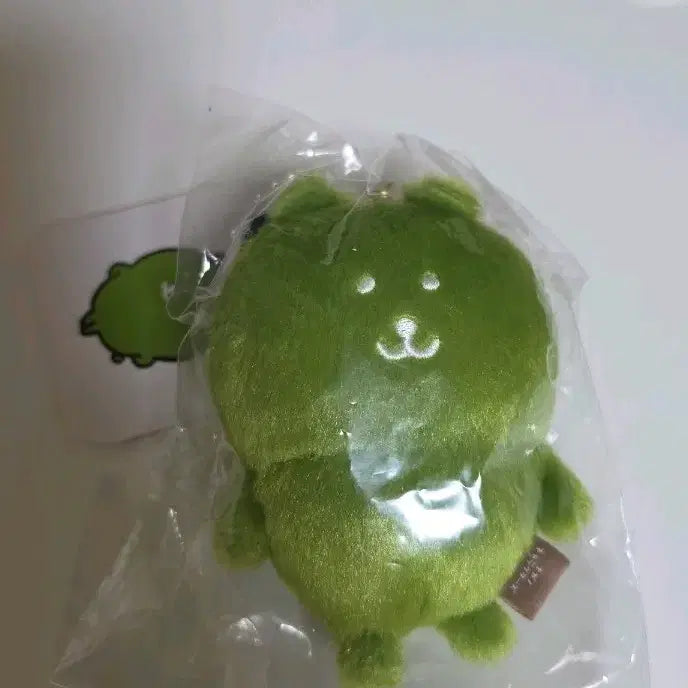 [BUNJANG] Nongdamgom Color Gom Nagao Market Plush / 농담곰 칼라곰 나가노마켓