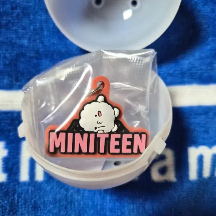 [BUNJANG] SEVENTEEN Mini Teen Bbyapuri Mezushi Gacha Keychain / 세븐틴 미니틴 뾰풀이 메지루시 가챠
