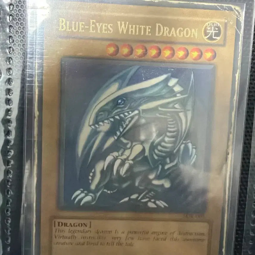 [BUNJANG] Blue-Eyes White Dragon English Version / 푸른눈의 백룡 영판