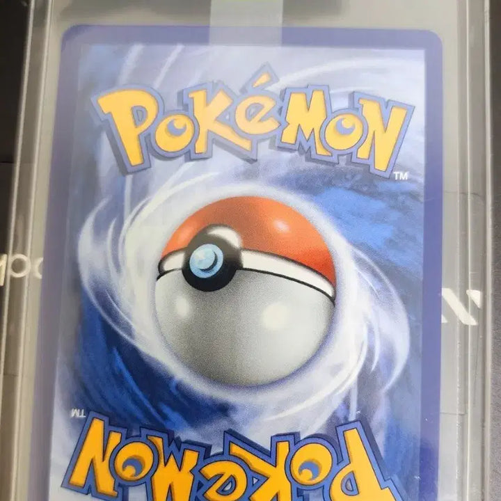 [BUNJANG] Pokemon Cards North America 1st Partner 4th Generation Starter Bundle Set / 포켓몬카드 북미 퍼스트파트너 4세대 스타팅 일괄(팽도리,모부기,불꽃숭이)