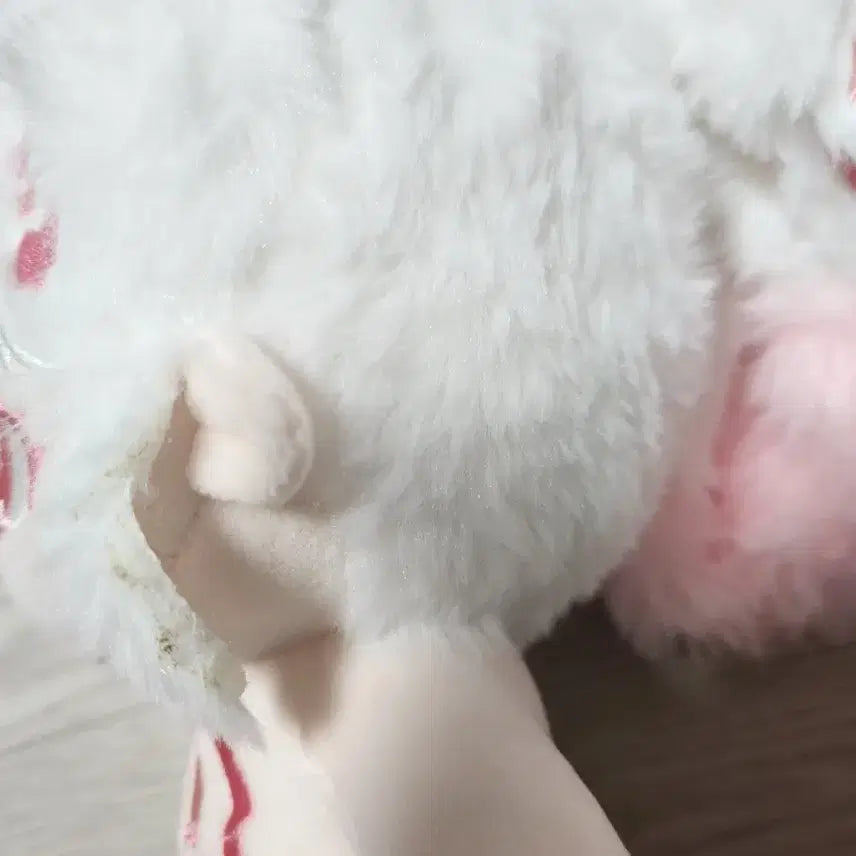 [BUNJANG] Unbranded Plush Dolls Bundle Set / 무속성 인형 일괄