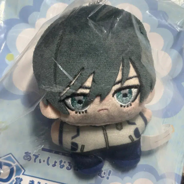 [BUNJANG] Blue Lock Ichiban Kuji D Prize Itoshi Rin (Sealed) / 미개봉) 블루록 추가시간 이치방쿠지 제일복권 D상 이토시 린