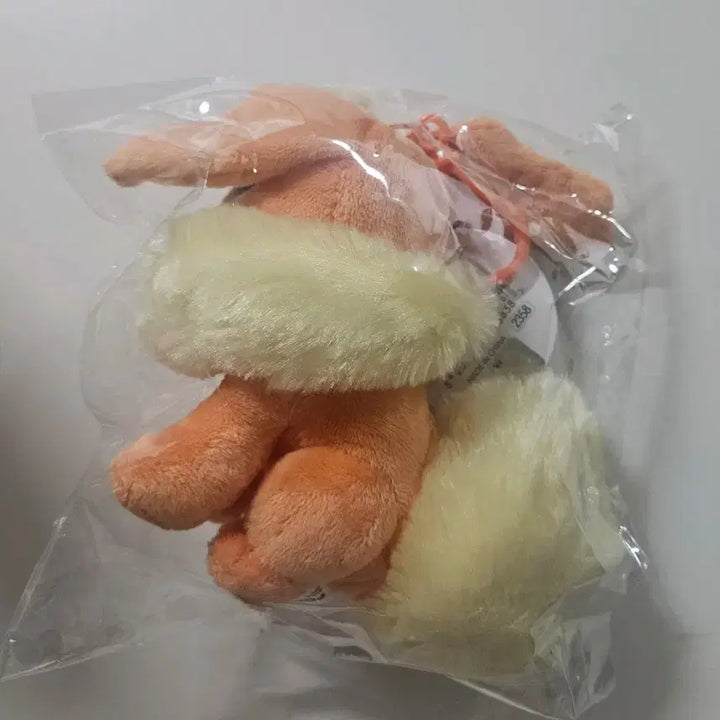 [BUNJANG] Pokemon Litten Plush / 포켓몬스터 냐오불 인형