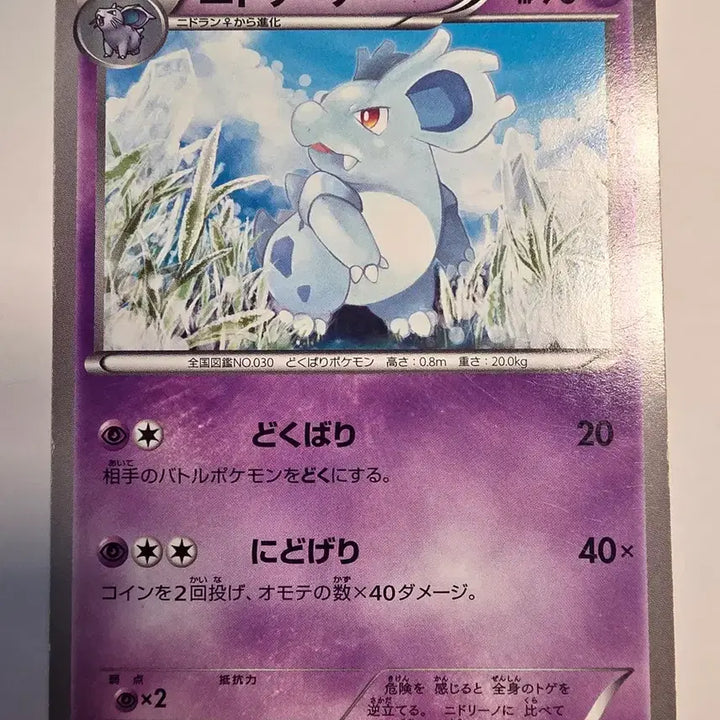 [BUNJANG] Vintage Pokemon Card Nidoking Japanese 2012 BW / 빈티지)포켓몬카드 일판 니드리너 2012 bw