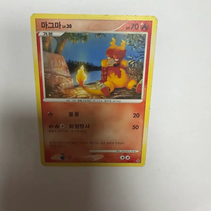 [BUNJANG] Pokemon Cards Magma / 마그마 포켓몬카드