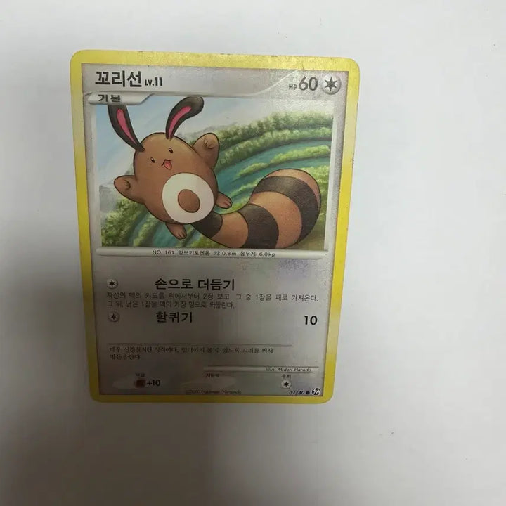 [BUNJANG] Pokemon Cards / 꼬리선 포켓몬카드