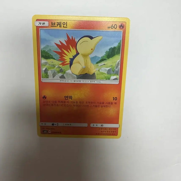 [BUNJANG] Pokemon Card / 브케인 포켓몬카드