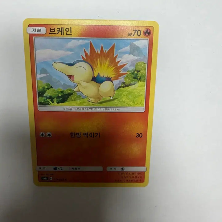 [BUNJANG] Pokemon Card / 브케인 포켓몬카드