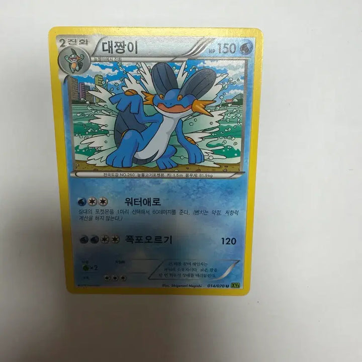 [BUNJANG] Pokemon Card / 대짱이 포켓몬카드