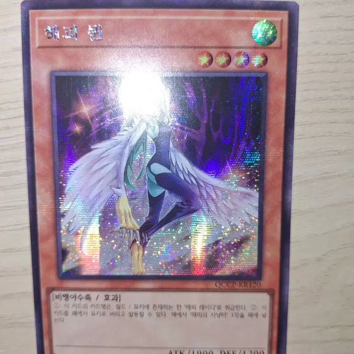 [BUNJANG] Yu-Gi-Oh! Happy Queen Secret Rare Card / [유희왕카드] 해피퀸 시크릿레어 싸게 가져가실 분~