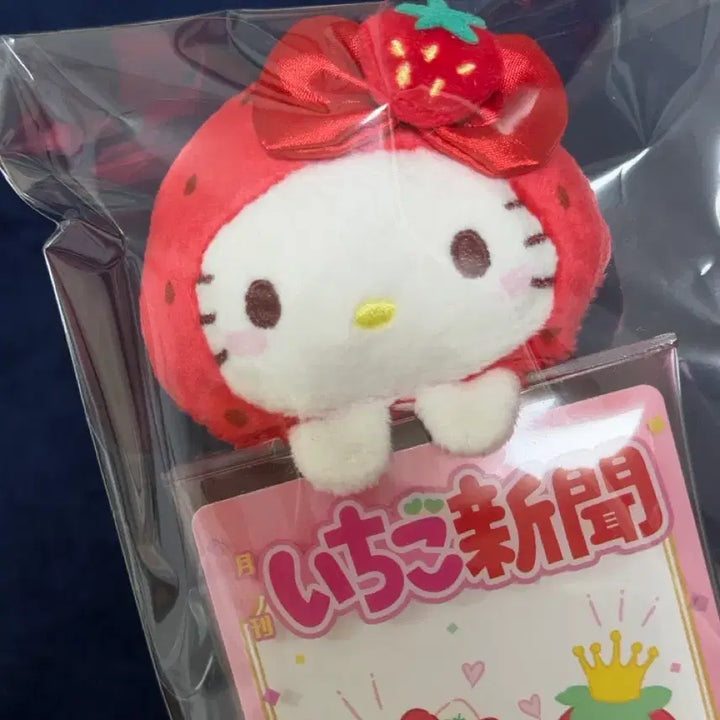 [BUNJANG] Sanrio 50th Anniversary Ichigo Strawberry Kitty Photocard Holder / 산리오 50주년 이치고 딸기 키티 포카홀더