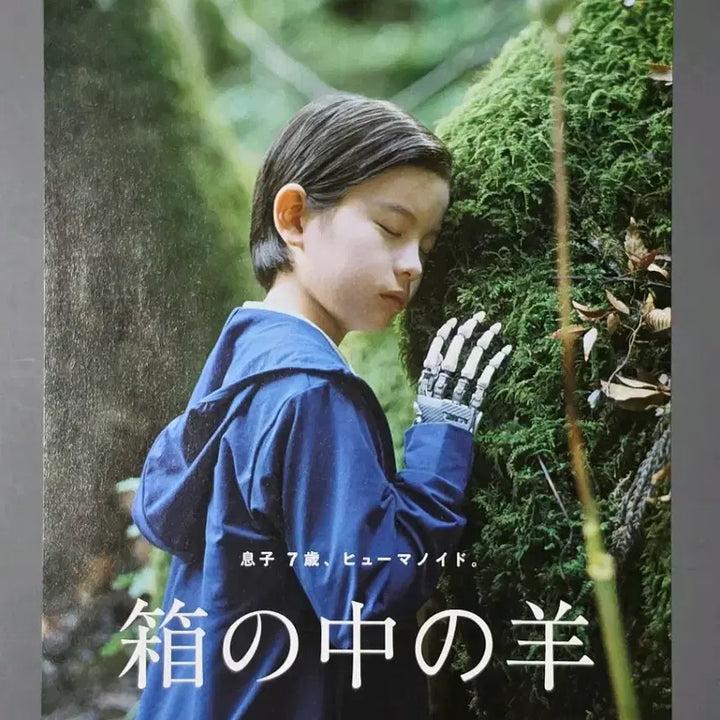 [BUNJANG] Hirokazu Kore-eda "Like Father, Like Son" (2013) Japanese Film Pamphlet / [영화팜플렛] B 상자속의양 일본(2026) 고레에다 히로카즈 영화전단지