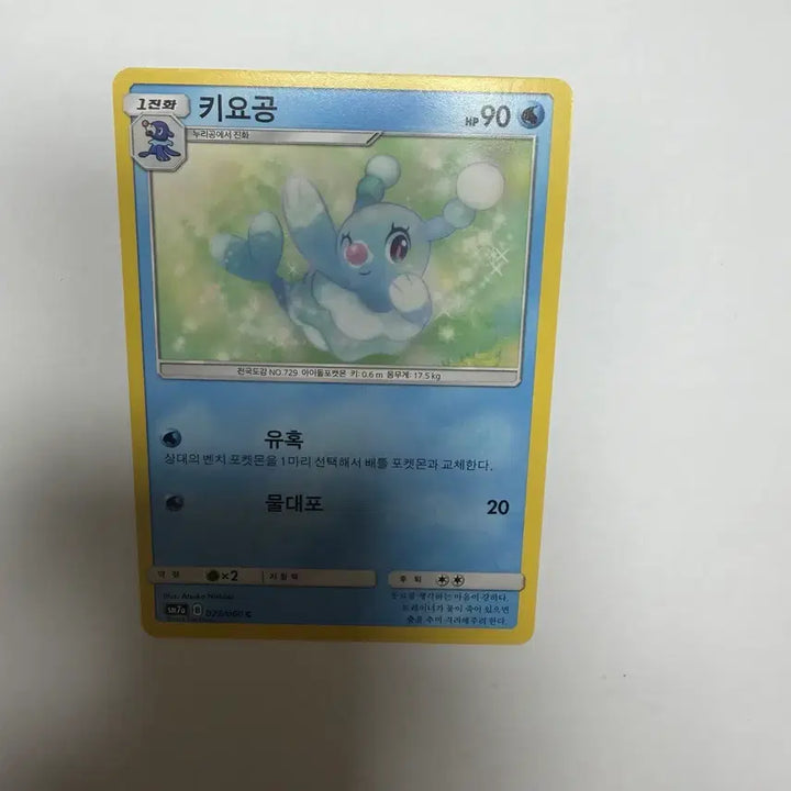 [BUNJANG] KiyoGong Pokemon Cards / 키요공 포켓몬카드