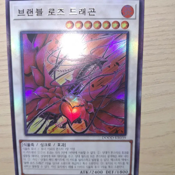 [BUNJANG] Yu-Gi-Oh! Card: Brandblosed Dragon Ultra Rare / [유희왕카드] 브랜블로즈드래곤 울트라레어 싸게 가져가실 분~