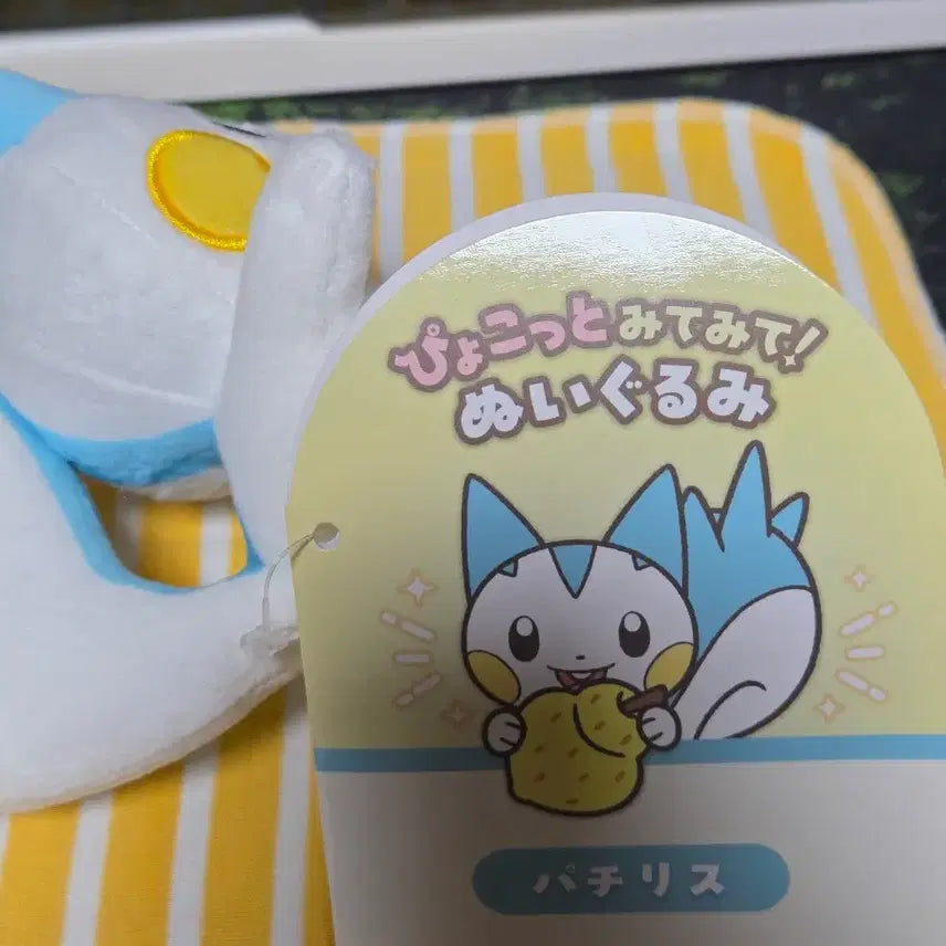 [BUNJANG] Mitomite Pachirisu Plush / 미테미테 파치리스 인형