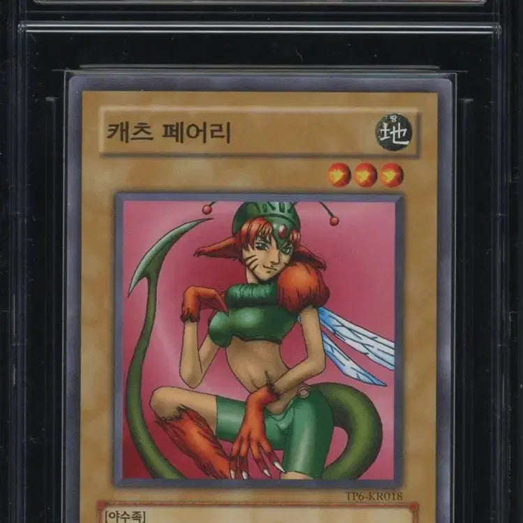 [BUNJANG] Yu-Gi-Oh! TP6 Tournament Card Cattepillar GEM MINT 10 / 유희왕 TP6 토너먼트카드 CCG 10점 판매합니다