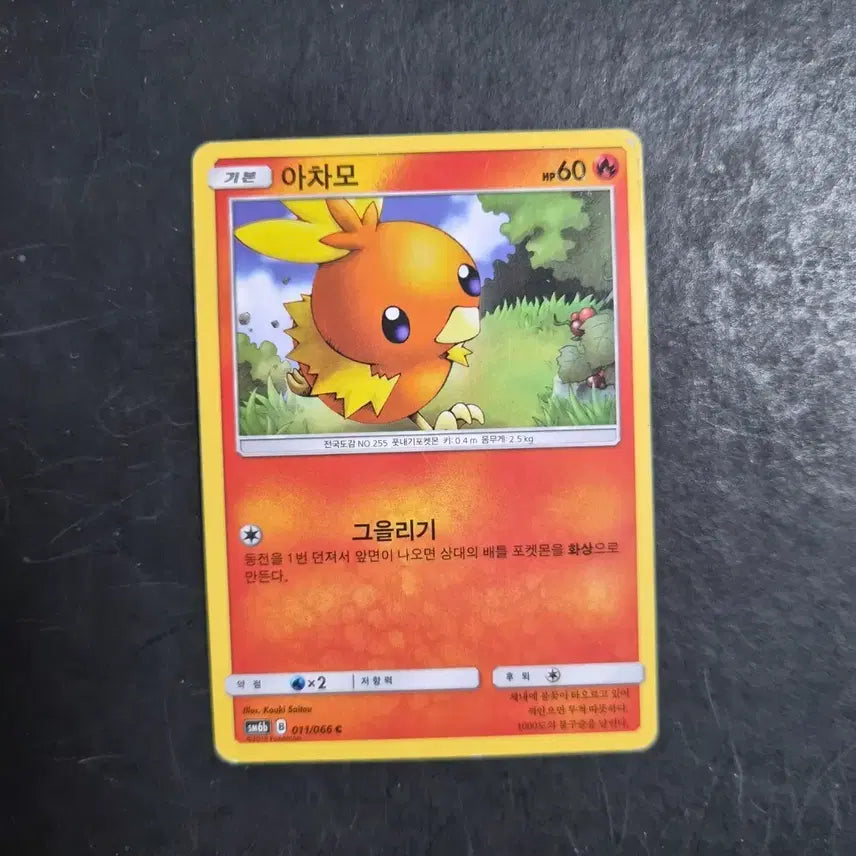 [BUNJANG] Torchic Pokemon Card / 아차모 포켓몬카드