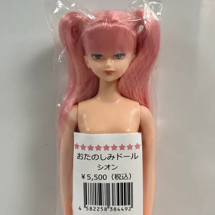 [BUNJANG] Licca Castle Shion (Unsealed) / 리카캐슬 시온