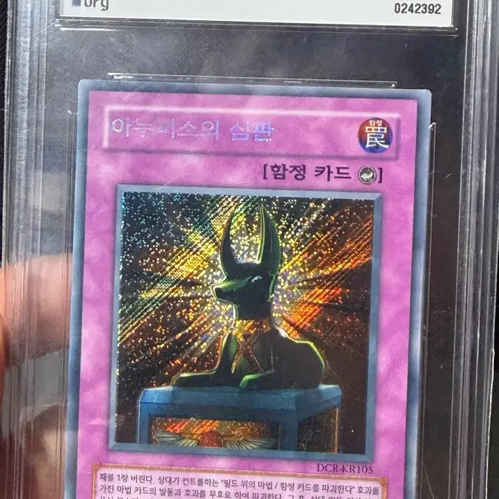 [BUNJANG] Yu-Gi-Oh! Anubis&