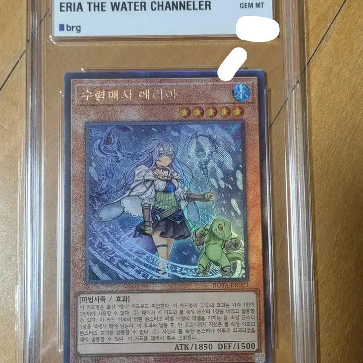[BUNJANG] Yu-Gi-Oh! Card "Elemental HERO Neos" 10 GEM MT Graded / 유희왕 카드 수량매사 에리아 10 GEM MT