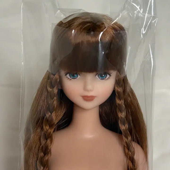 [BUNJANG] Ricacastle Otano Shimin Shion Doll / 리카캐슬 시온