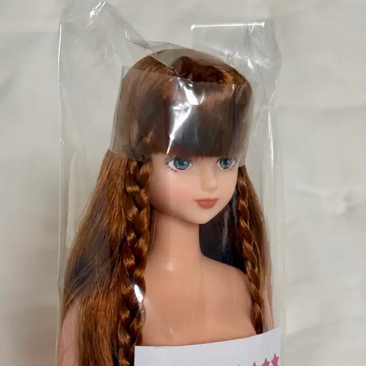 [BUNJANG] Ricacastle Otano Shimin Shion Doll / 리카캐슬 시온