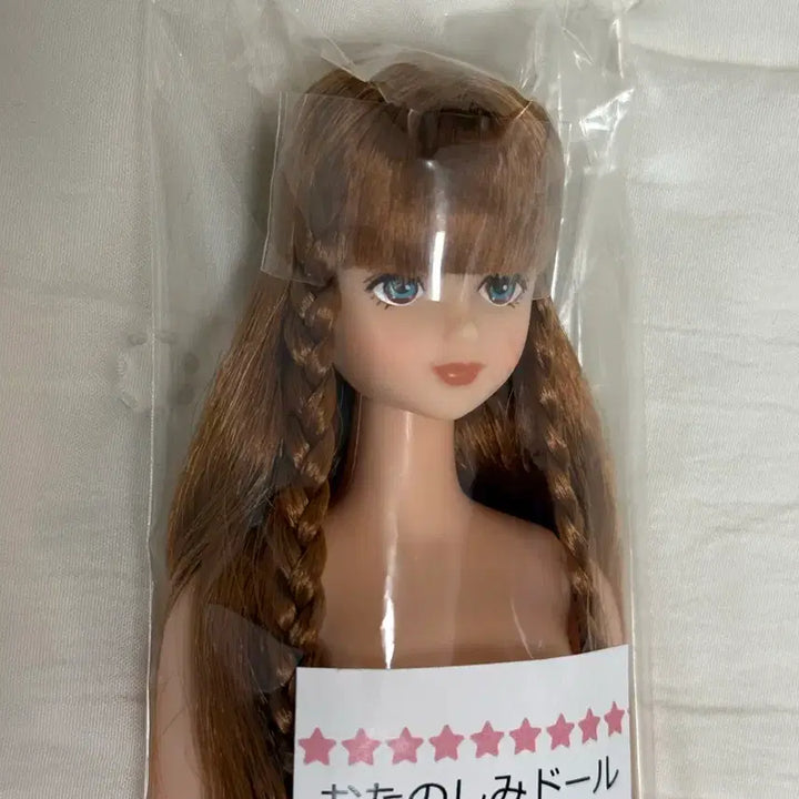 [BUNJANG] Ricacastle Otano Shimin Shion Doll / 리카캐슬 시온