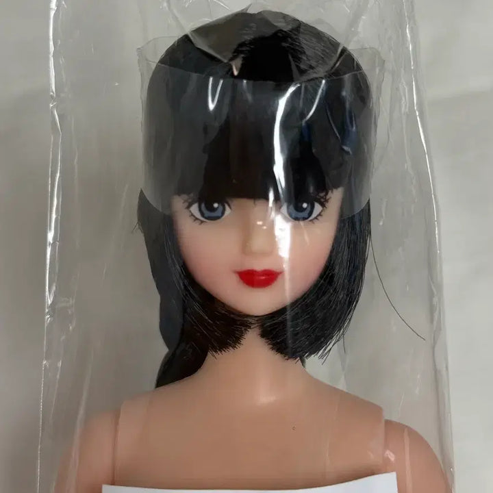 [BUNJANG] Rika Castle Sion Black Hair Doll / 리카캐슬 시온