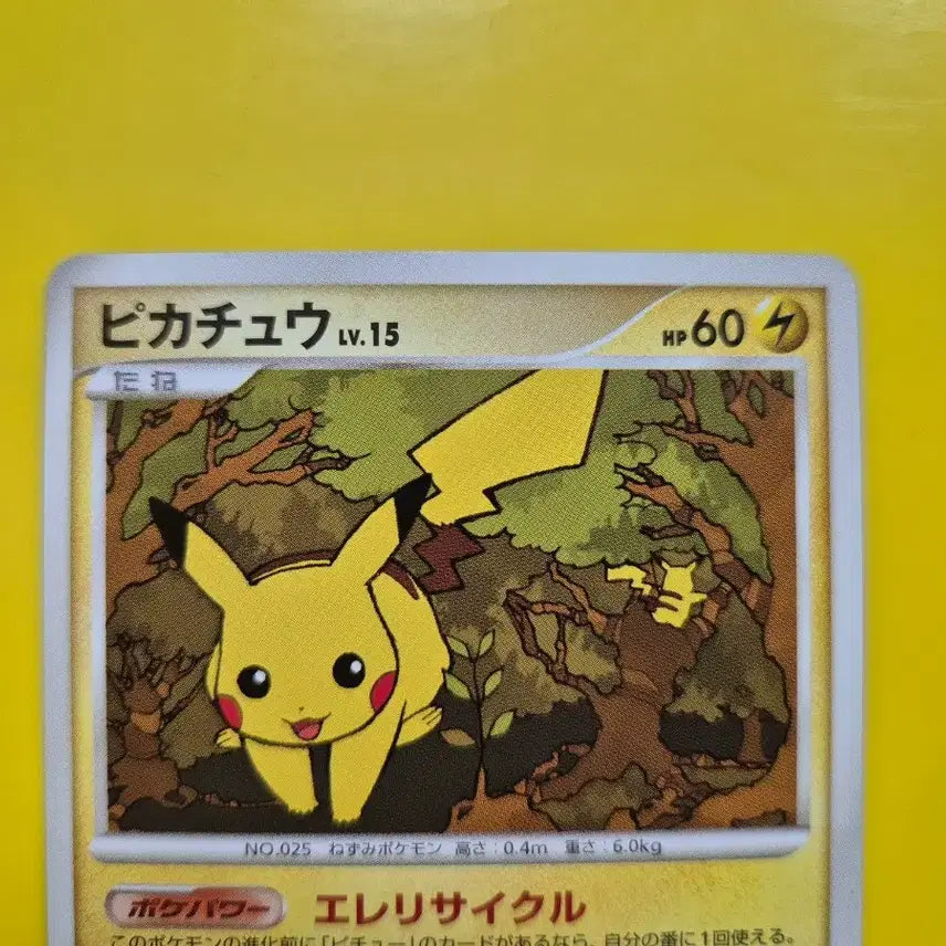 [BUNJANG] Pokemon Card Ancient Pikachu Japanese Version 2007 / 포켓몬카드 2007 극희소 고대 피카츄 일판 일본판 1