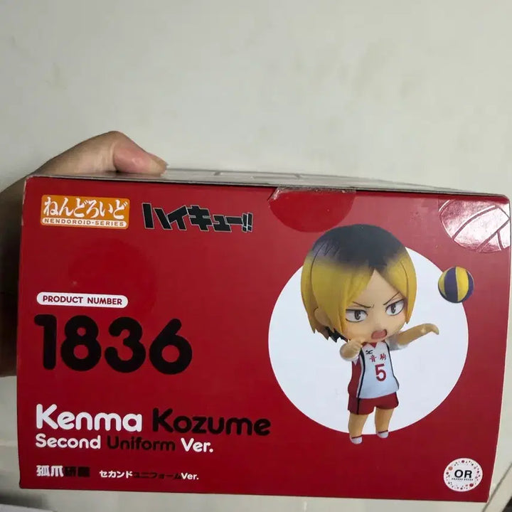 [BUNJANG] Haikyuu!! Kenma Kozume Nendoroid 