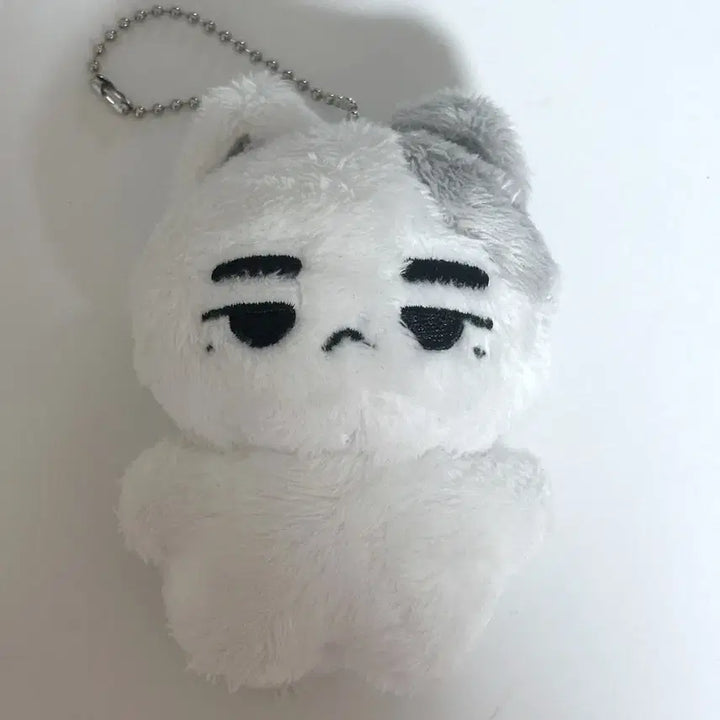 [BUNJANG] GOT7 Jinyoung Bundle Set / 갓세븐 진영 박진영 일괄