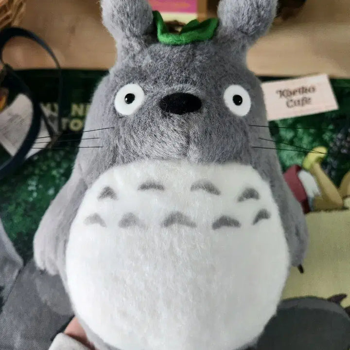 [BUNJANG] Studio Ghibli Limited Edition Totoro Full Box Set / 아니메쥬와지브리)<오늘만이가격!>한정 토토로굿즈 풀박스