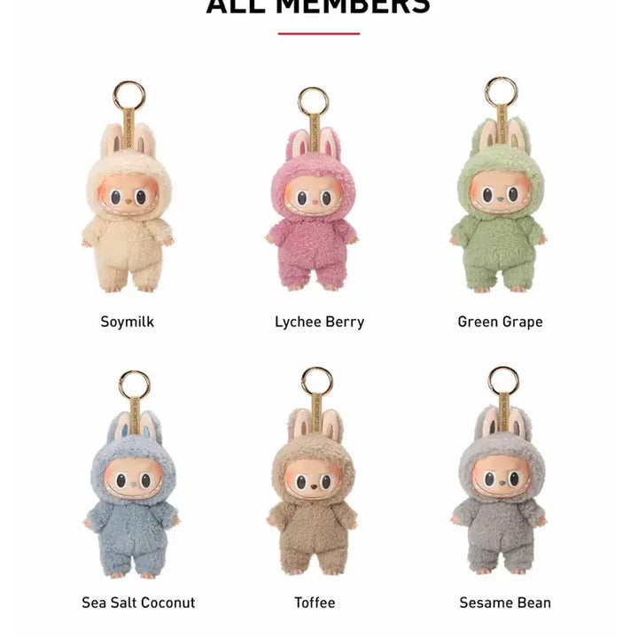 [BUNJANG] Pop Mart Labubu 1st Gen Macaron Keychain Full Box (6 pcs, Sealed) / 오늘만-팝마트 라부부 1세대 마카롱 키링 풀박스 6개 (미개봉)