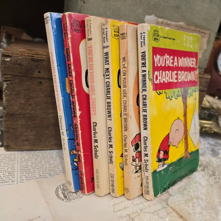 [BUNJANG] Vintage Peanuts Comic Books Set (6 Volumes) / 빈티지 서적 책 6권 세트 찰리 브라운 스누피 피넛츠