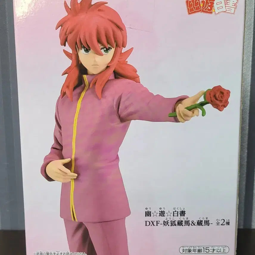 [BUNJANG] Yu Yu Hakusho Kurama DXF Figure (Sealed) / 반다이 유유백서 쿠라마 피규어