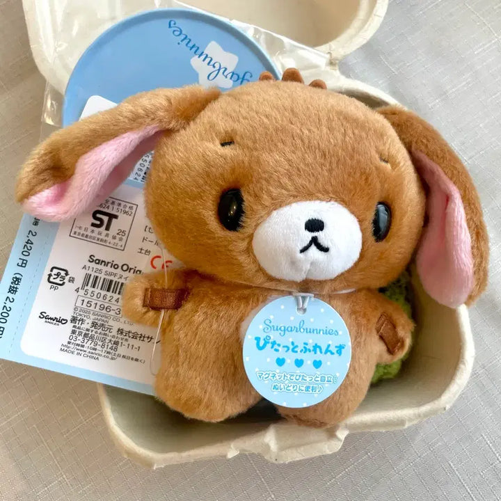 [BUNJANG] Sanrio Sugarbunnies Kurousa Pitatto S Plush / (산리오 정품,새상품) 슈가바니즈 쿠로우사 피탓토 s 인형