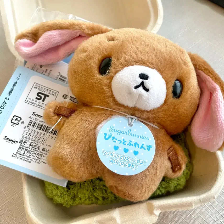 [BUNJANG] Sanrio Sugarbunnies Kurousa Pitatto S Plush / (산리오 정품,새상품) 슈가바니즈 쿠로우사 피탓토 s 인형