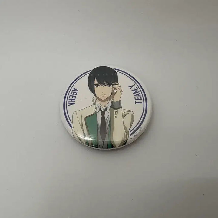 [BUNJANG] Starmyu 2 Ageha Can Badge / 스타뮤2 아게하 캔뱃지