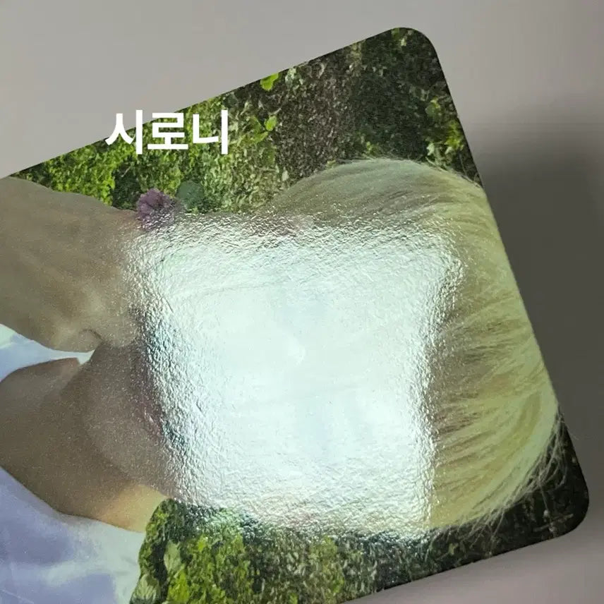 [BUNJANG] NCT Doyoung SOAR PROMISE Bundle Set Photocard / 엔시티 도영 포카 일괄 판매 soar promise