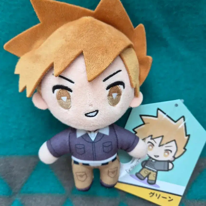 [BUNJANG] Pokemon Trainers Mascot Green Plush / 포켓몬스터 트레이너즈 마스코트 그린 누이