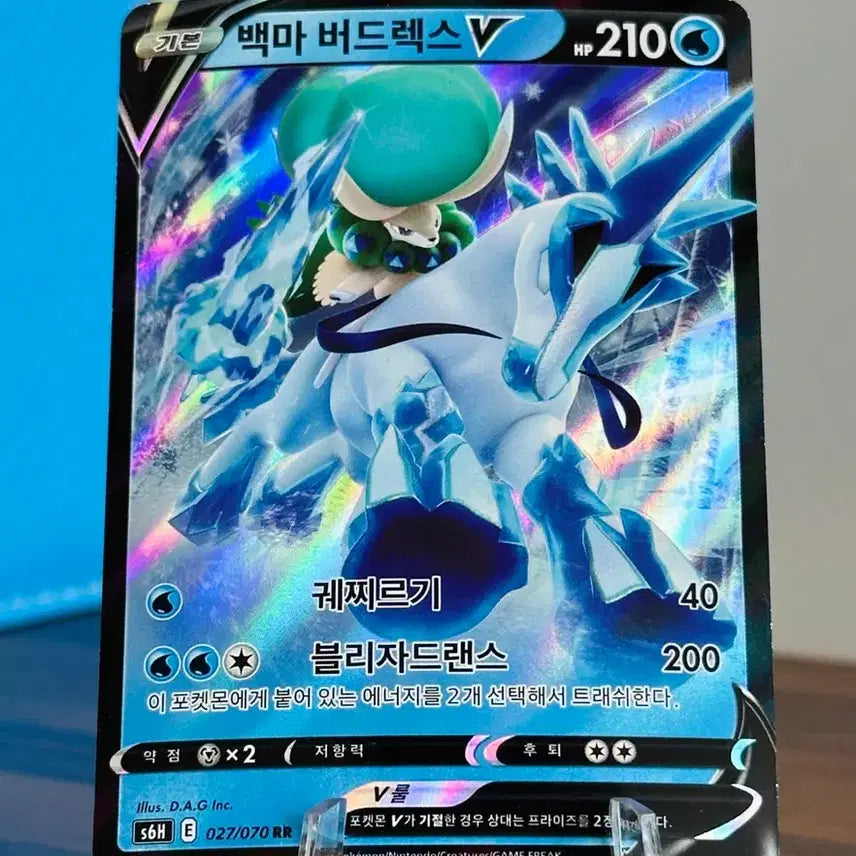 [BUNJANG] Pokemon Card Spectrier V RR / 포켓몬 카드 백마 버드렉스 V RR