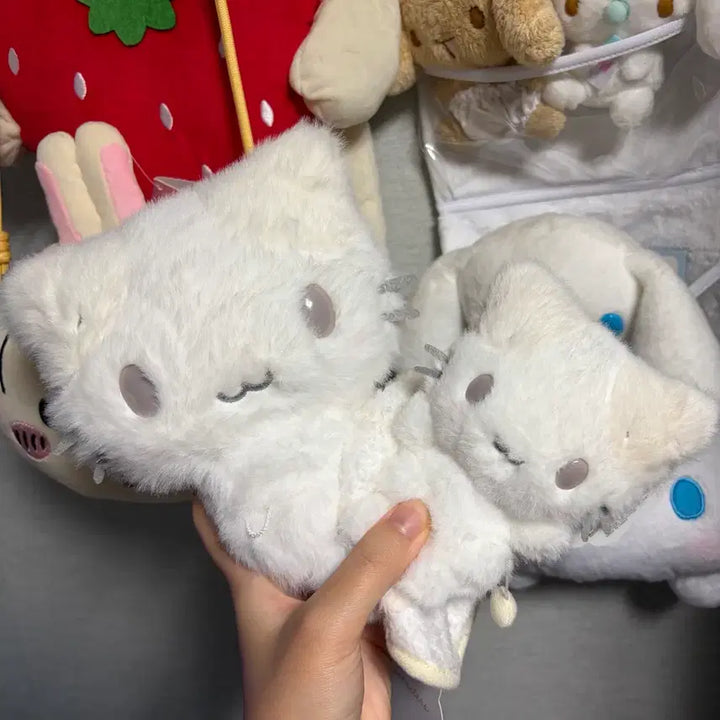 [BUNJANG] Sanrio Marshmallow Nap Series Bundle Set / (일괄) 산리오 마슈마로 낮잠 시리즈