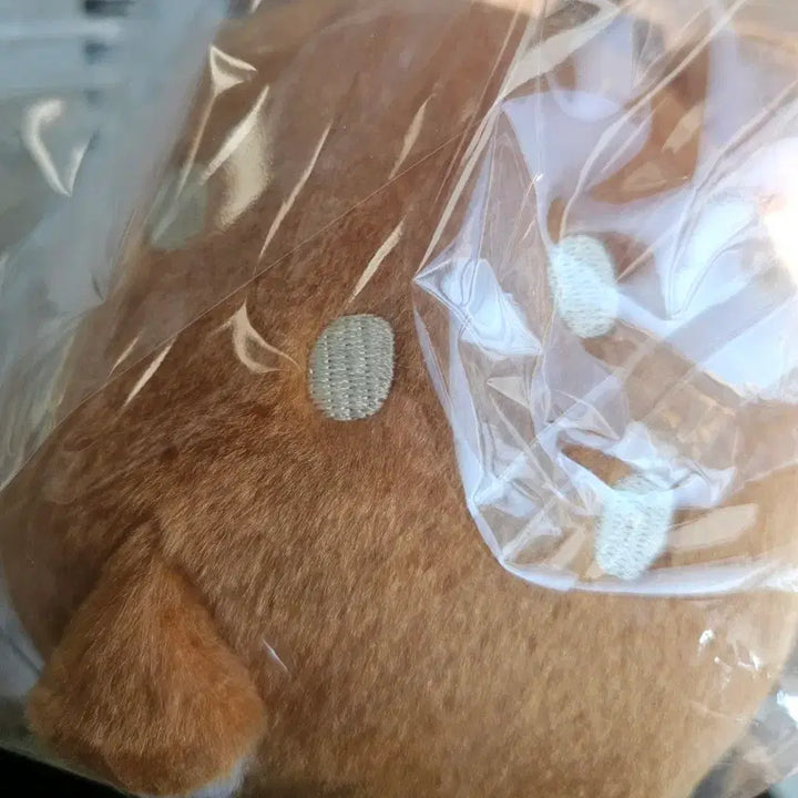 [BUNJANG] Kiiroitori Miyajima Deer Plush Doll / 키이로이토리 미야지마 사슴 인형